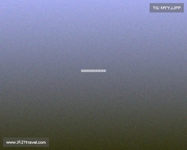 电子竞技的简历、电竞职业简历表格