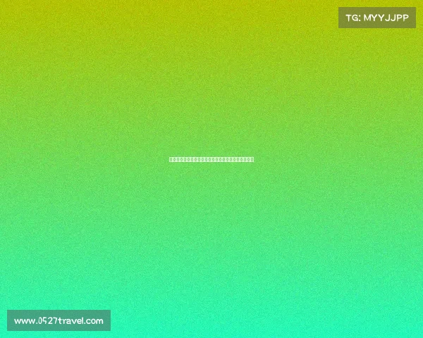 电子竞技给我们的启示电子竞技的启发原因与发展因素